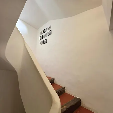 Sur Le Toit De Апартаменти Сен-Тропе